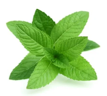 Mint