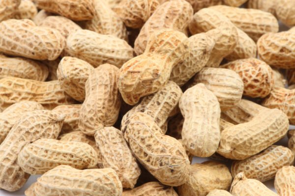 Peanut