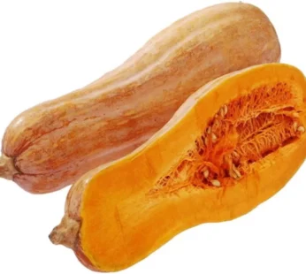 Pumpkin Gourd
