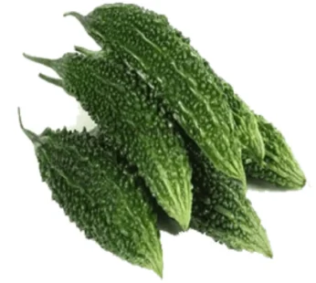 Bitter Gourd