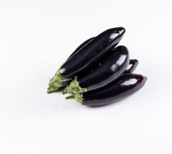 Brinjal