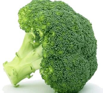 Broccoli