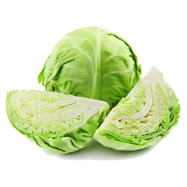 Cabbage