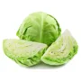 Cabbage