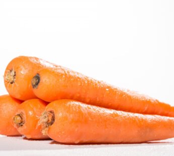 Carrot