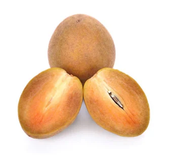 sapodilla