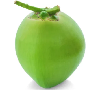 Coconut