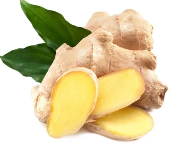 Ginger