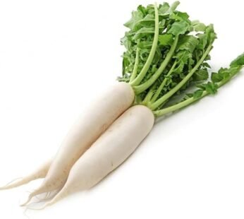 Radish