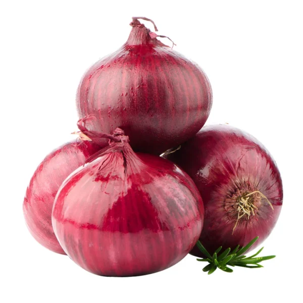 Onion