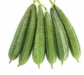 Ridge Gourd