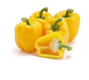 Yellow Capsicum