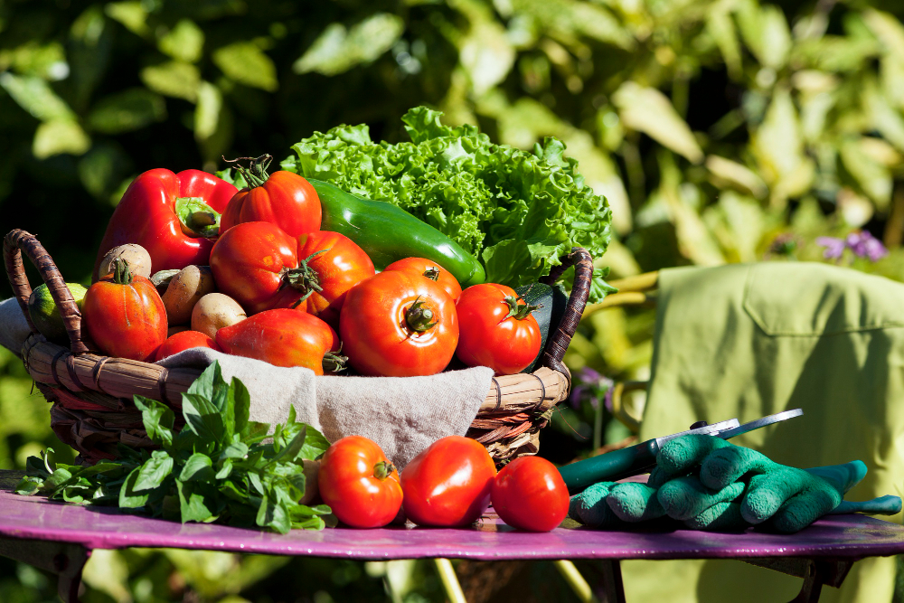 Why Farm-Fresh Produce Matters: The Secret to a Healthier Lifestyle
