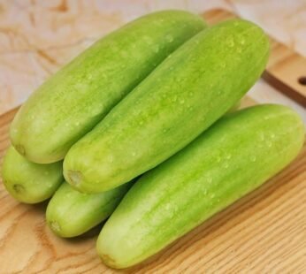 Cucumber