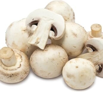 Mushroom Button