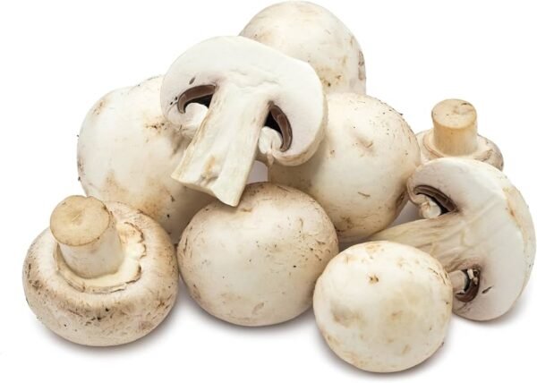 Mushroom Button