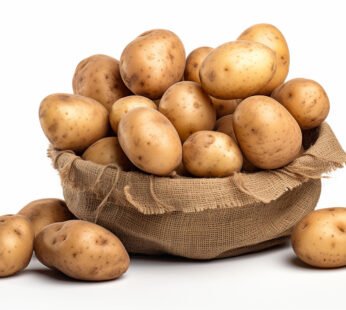 Potato